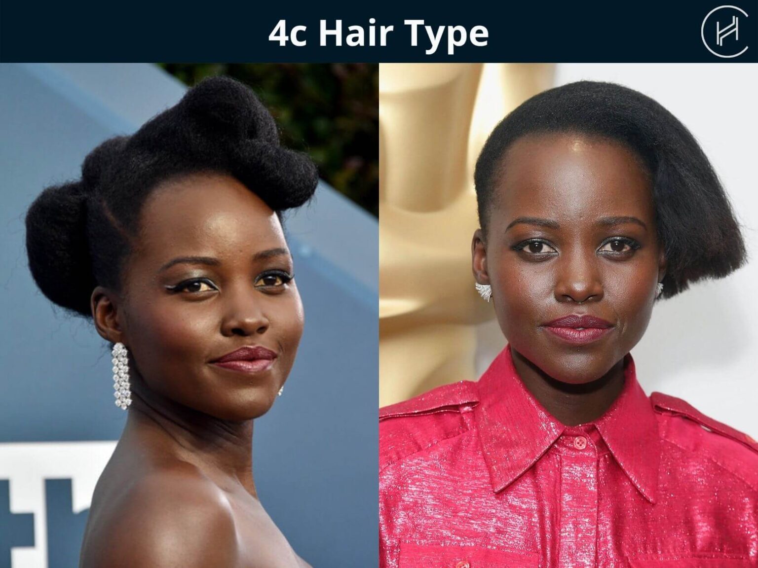 Afro Hair Types - 4A, 4B, 4C Hair Types - The Complete Guide